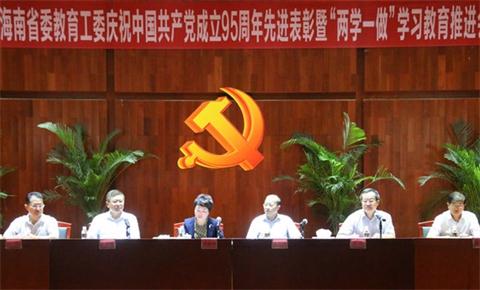 公司获得“海南省优秀基础党组织”荣誉称号